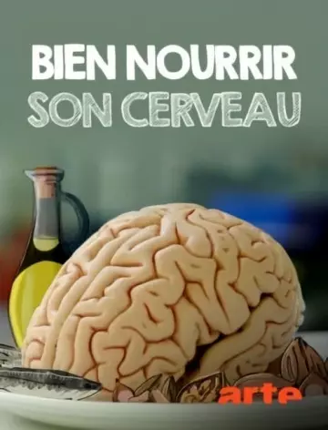 Bien nourrir son cerveau