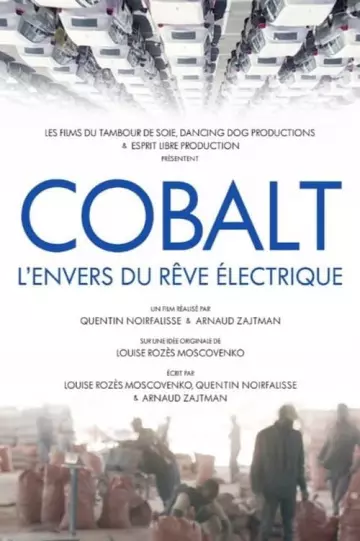 Cobalt, l'envers du rêve électrique