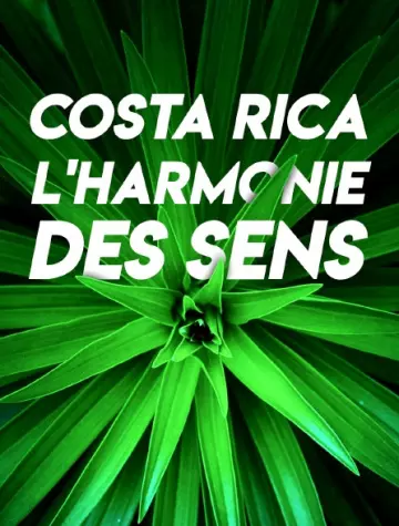 COSTA RICA, L'HARMONIE DES SENS