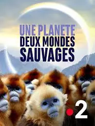 UNE PLANÈTE, DEUX MONDES SAUVAGES - HÉMISPHÈRE SUD