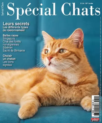 Spécial Chats N°54 – Janvier-Mars 2022  [Magazines]