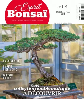 Esprit Bonsaï N°114 – Octobre-Novembre 2021  [Magazines]