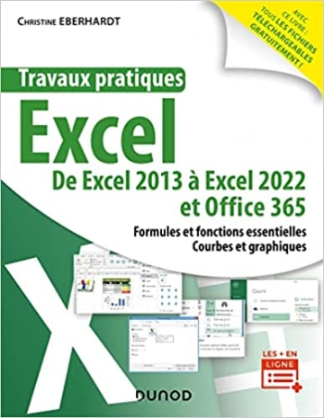 Travaux pratiques - Excel: De Excel 2013 à Excel 2022 et Office 365  [Livres]