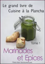 Le grand livre de la cuisine à la plancha : Tome 1  [Livres]