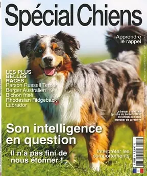 Spécial Chiens N°54 – Octobre-Décembre 2021  [Magazines]