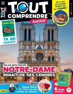 Tout Comprendre Junior - Janvier 2025 [Magazines]