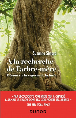 À LA RECHERCHE DE L'ARBRE-MÈRE SUZANNE SIMARD  [Livres]