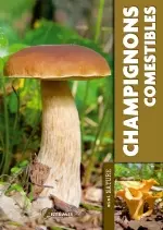 Champignons comestibles  [Livres]