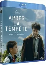 Après la tempête [BLU-RAY 720p] - FRENCH