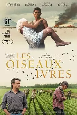 Les Oiseaux Ivres [WEB-DL 720p] - FRENCH