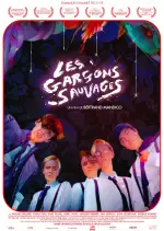 Les Garçons sauvages [HDRIP] - FRENCH