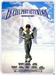 Le Ciel peut attendre  [WEBRIP] - FRENCH