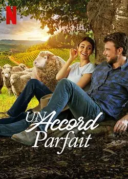 Un accord parfait [HDRIP] - FRENCH