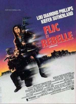 Flic et rebelle  [WEBRIP] - FRENCH