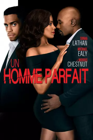 Un Homme Parfait [DVDRIP] - FRENCH