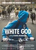 White God  [BDRiP] - FRENCH