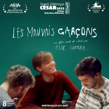 Les Mauvais garçons [HDRIP] - FRENCH