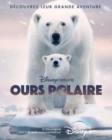 Ours Polaire  [WEB-DL 720p] - FRENCH