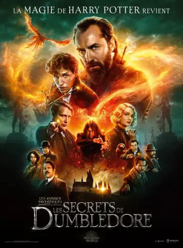 Les Animaux Fantastiques : les Secrets de Dumbledore  [HDRIP 1080p] - VO