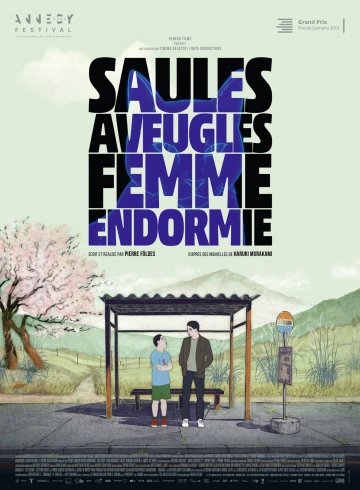 Saules aveugles, femme endormie  [WEBRIP 720p] - FRENCH