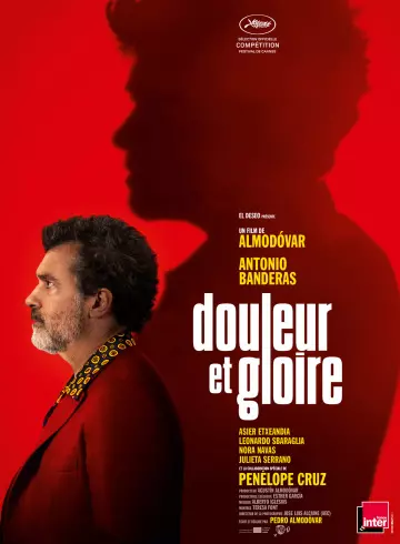 Douleur et gloire  [BDRIP] - FRENCH