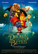 Drôles de petites bêtes  [BDRIP] - FRENCH