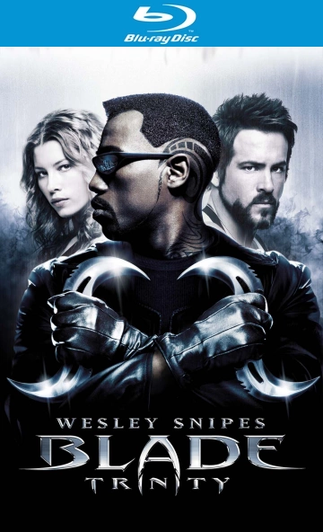 Blade: Trinity  [HDLIGHT 1080p] - MULTI (TRUEFRENCH)