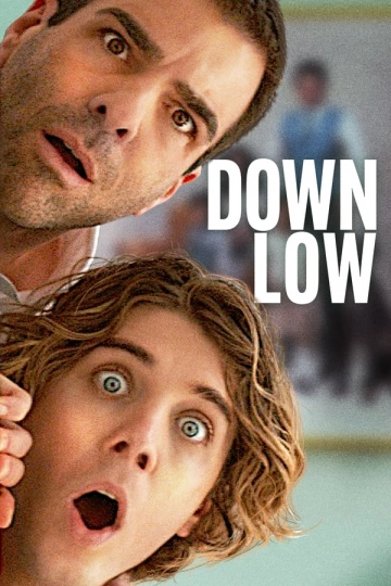 Down Low  [WEBRIP 720p] - FRENCH