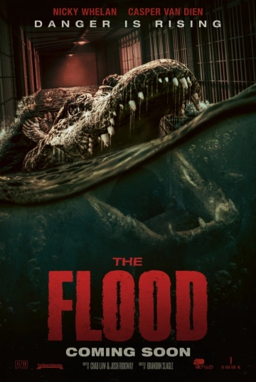 The Flood  [WEB-DL 720p] - FRENCH