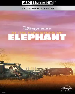 Sur la route des éléphants  [WEB-DL 4K] - MULTI (FRENCH)