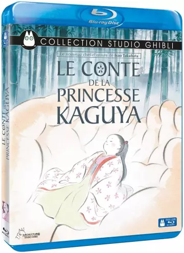 Le Conte de la princesse Kaguya  [BLU-RAY 720p] - VOSTFR