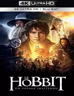 Le Hobbit : un voyage inattendu [4K LIGHT] - MULTI (TRUEFRENCH)