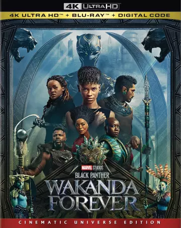 Black Panther : Wakanda Forever  [4K LIGHT] - MULTI (TRUEFRENCH)