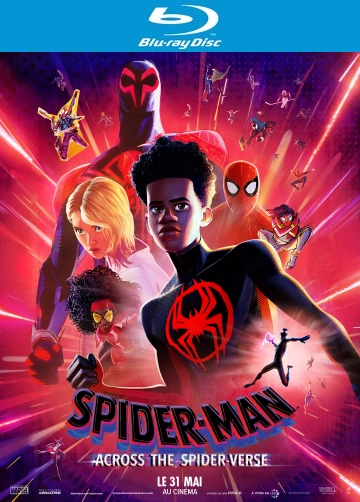 Spider-Man : Across The Spider-Verse  [BLU-RAY 1080p] - MULTI (TRUEFRENCH)