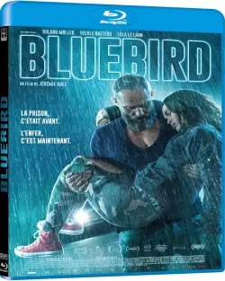 Bluebird  [HDLIGHT 1080p] - MULTI (FRENCH)