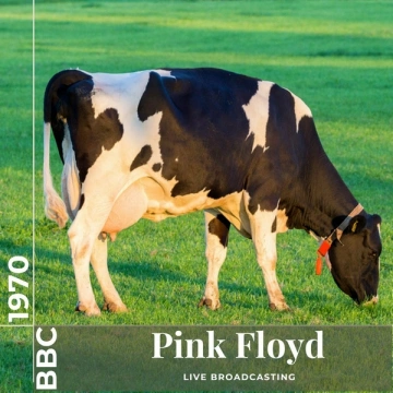 Pink Floyd - Pink Floyd: Live at BBC 1970 (Live)  [Albums]