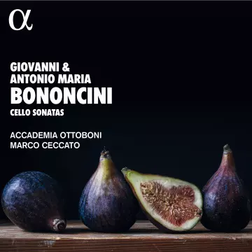 Bononcini - Cello Sonatas - Marco Ceccato & Accademia Ottoboni  [Albums]