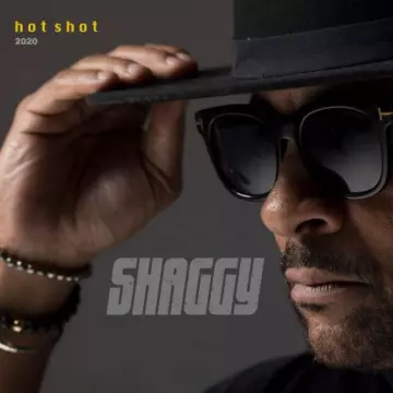 Shaggy - Hot Shot 2020  [Albums]