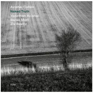 Avishai Cohen - Naked Truth  [Albums]