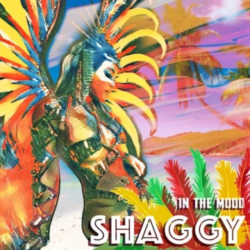 Shaggy - In The Mood  [Albums]