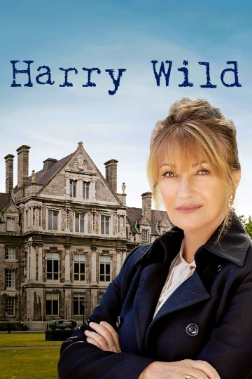 Harry Wild - Saison 3 - vf-hq