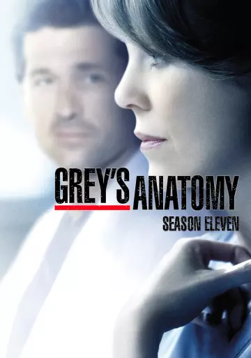 Grey's Anatomy - Saison 11 - VF