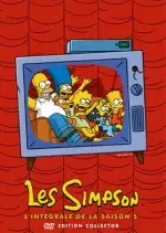 Les Simpson - Saison 5 - VF