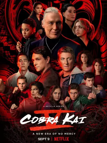 Cobra Kai - Saison 5 - VF